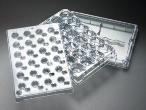 Millicell-24 Cell Culture Insert Plate PSHT010R1