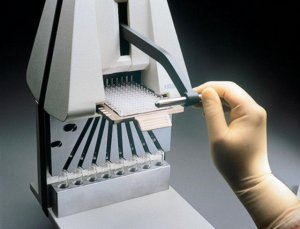 MultiScreen Carrier Rack for 12 mm x 75 mm tubes 