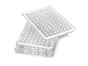 MultiScreen Permeability Filter Plate, 0.4 �m, non-sterile MPC4NTR10