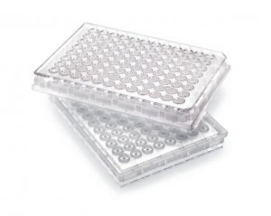 MultiScreen-BV Filter Plate, 1.2 �m, clear, non-sterile MABVN1250