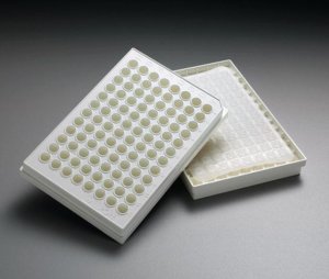 MultiScreenHTS BV Filter Plate, 1.2 �m, opaque, non-sterile MSBVN1B50