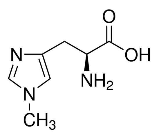 1-Methyl-L-histidine 