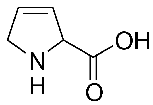 3,4-Dehydro-DL-proline 