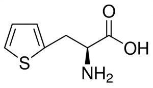 3-(2-Thienyl)-L-alanine 