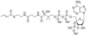 04:1 Coenzyme A 870709P-5MG