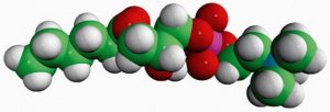 06:0 Lyso PC 855175P-25MG