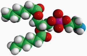 06:0 PE 850697P-25MG