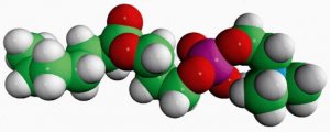 07:0 Lyso PC 855176P-25MG