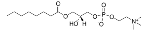08:0 Lyso PC 855275C-25MG