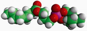 08:0 Lyso PC 855275C-25MG