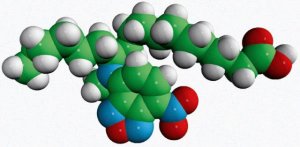 12-NBD Stearate 810110C-1MG