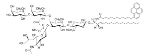 12:0 pyrene GM1 (synthetic) 860093P-1MG