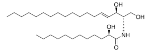 12:0(2R-OH) Ceramide 860811P-5MG