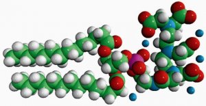 14:0 PE-DTPA 790535P-5MG