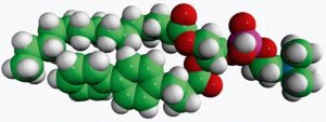 14:0-04:0(biphenyl) PC (TBBPC) 850344C-10MG