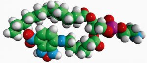 14:0-06:0 NBD PE 810151C-1MG