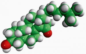15-ketocholestene 700008P-5MG