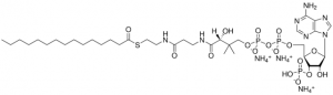 15:0 Coenzyme A 870715P-5MG