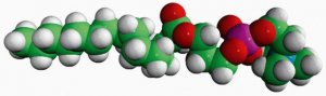 15:0 Lyso PC 855576C-25MG