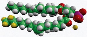 15:0-18:1-d7-PA 791642C-1MG