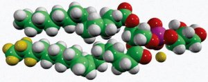 15:0-18:1-d7-PG 791640C-1MG