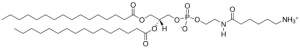 16:0 Caproylamine PE 870125C-25MG