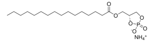 16:0 Cyclic LPA 857323P-1MG