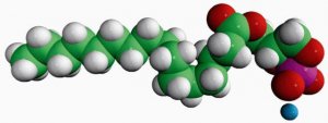16:0 Cyclic LPA 857323P-1MG