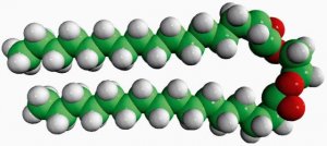 16:0 Ethylene Glycol 800604C-10MG