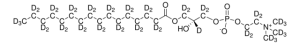 16:0 lyso PC-d49 