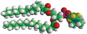 16:0 PC-d4 860351P-10MG