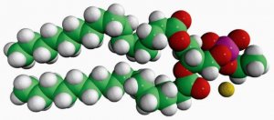 16:0 Phosphatidylethanol 