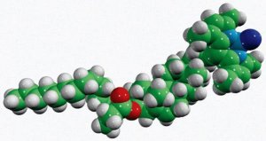 16:0 TopFluor� cholesterol 810288P-1MG