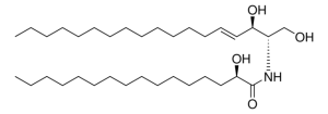 16:0(2R-OH) Ceramide 