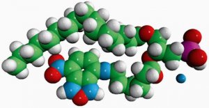 16:0-06:0 NBD PA 810173P-1MG