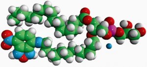 16:0-12:0 NBD PG 810164P-1MG