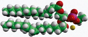 16:0-18:1 Phosphatidylethanol 