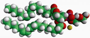 16:0-18:2 PG 840497P-25MG