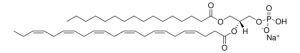 16:0-22:6 PA 840860C-25MG