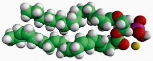 16:0-22:6 PA 840860C-25MG
