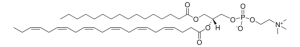 16:0-22:6 PC 850461C-25MG