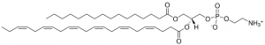 16:0-22:6 PE 850801C-25MG