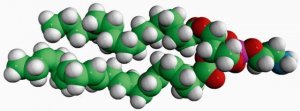16:0-22:6 PE 850801C-25MG
