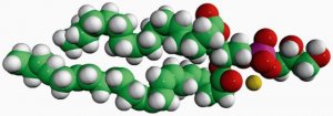 16:0-22:6 PG 840500C-25MG