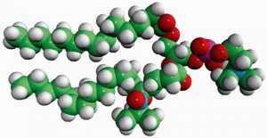 16:0-5 Doxyl PC 810601C-1MG