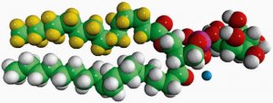 16:0-d31-18:1 PI 