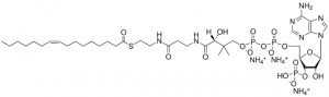 16:1 (n7) Coenzyme A 870743P-5MG