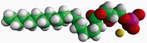 17:0 Lyso PA 857127P-25MG