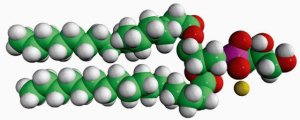 17:0 PG 830456P-25MG