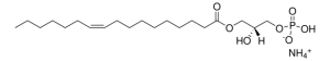 17:1 Lyso PA LM1701-1EA